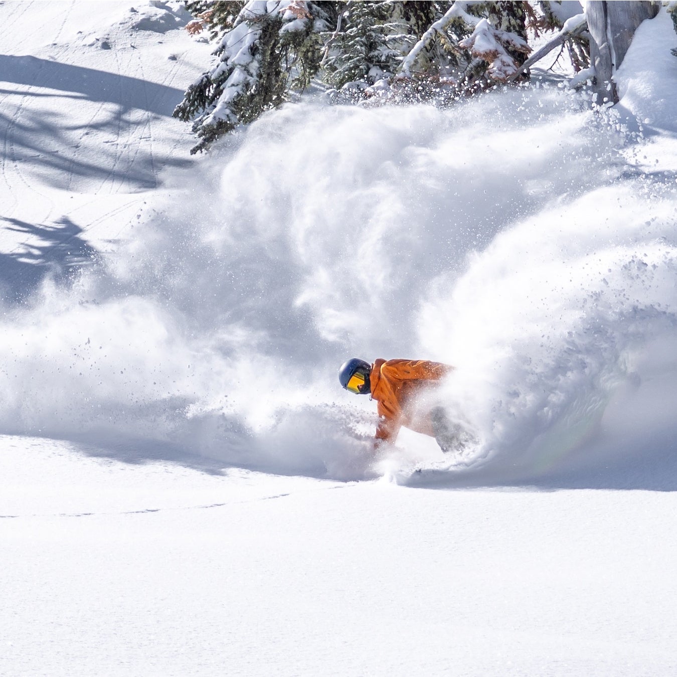 The Best Snowboards