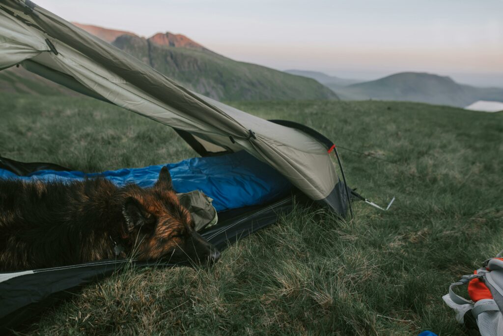 Sleeping bag