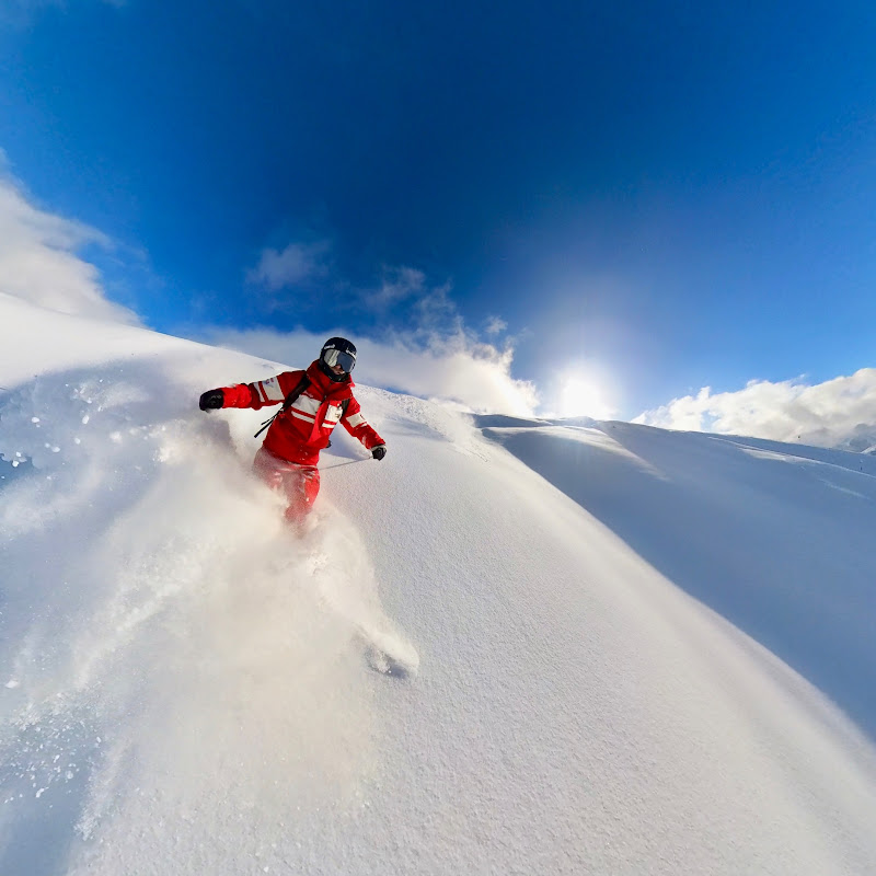 Logo Ride-Along Sessions with Cookie!